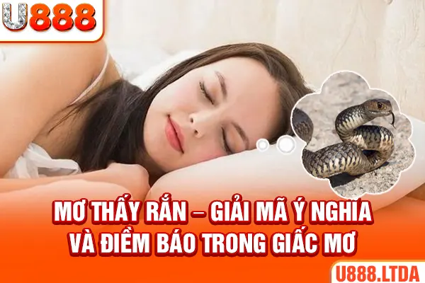 mơ thấy rắn